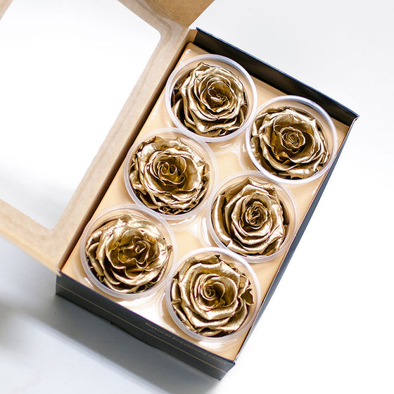 Pack of 6 Eternity Roses Preserved Flowers