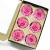 Pack of 6 Eternity Roses Preserved Flowers