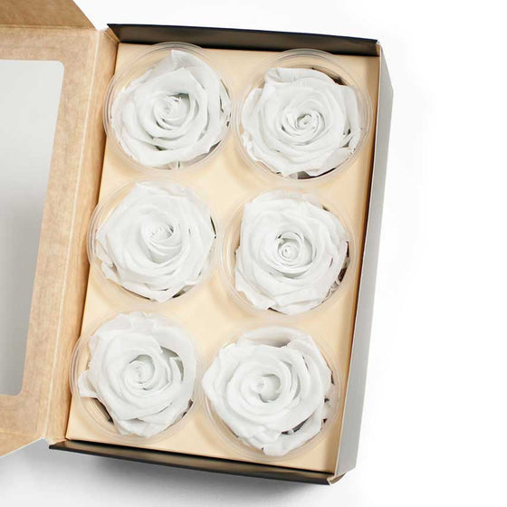 Pack of 6 Eternity Roses Preserved Flowers